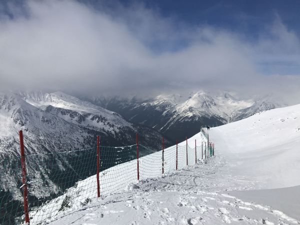 Wyprawa Zakopane, Dolina Chochołowska, Bukowina Tatrzańska - zdjęcie 14