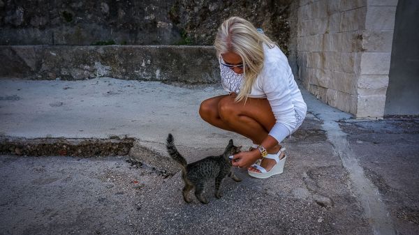 Wyprawa BAŁKANY OD KUCHNI - Beograd, Bistrica, Bečići, Cetinje, Stari Bar, Bar, Studenci, Senj, Keszthely - zdjęcie 4