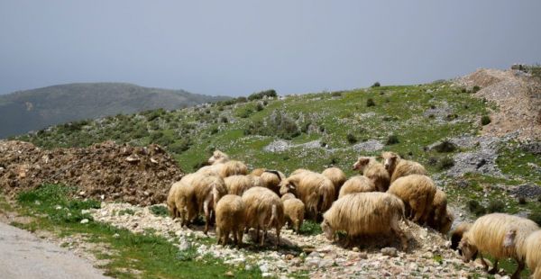 Wyprawa Motocyklowa Albania i Czarnogóra 2018 - zdjęcie 8