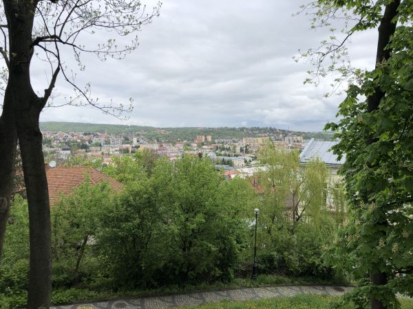 Wyprawa Bieszczady na weekend - Maj 2019 - zdjęcie 17