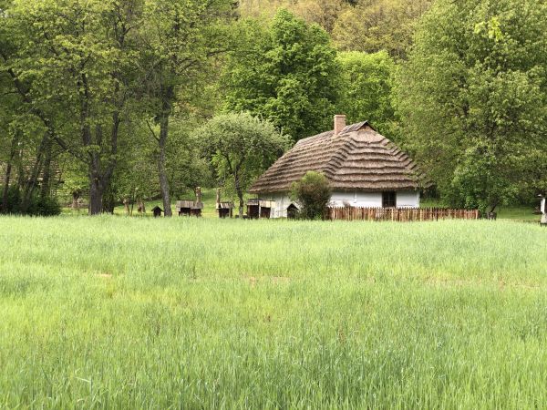 Wyprawa Bieszczady na weekend - Maj 2019 - zdjęcie 112