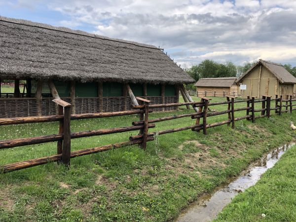 Wyprawa Bieszczady na weekend - Maj 2019 - zdjęcie 245