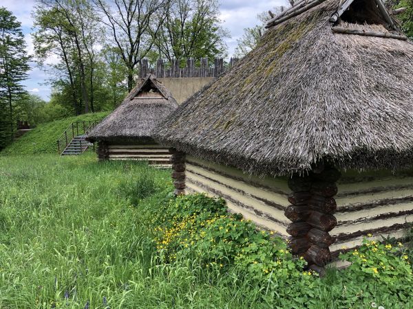 Wyprawa Bieszczady na weekend - Maj 2019 - zdjęcie 259