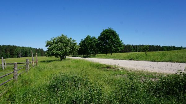 Wyprawa Motocyklowe inspiracje HELD - Polska na weekend - Podlasie - zdjęcie 23