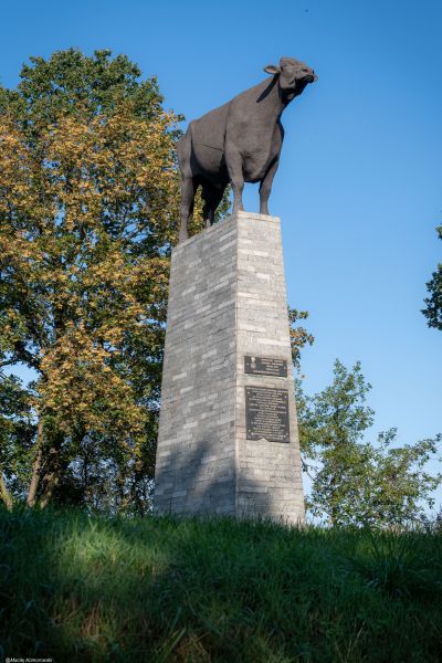 Wyprawa Wschowa, Żukowice, Bytom Odrzański, Siedlisko, Wolsztyn - zdjęcie 2