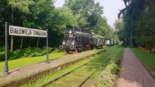 Wyprawa Bieszczady i Białowieża z Tofikiem - zdjęcie 41